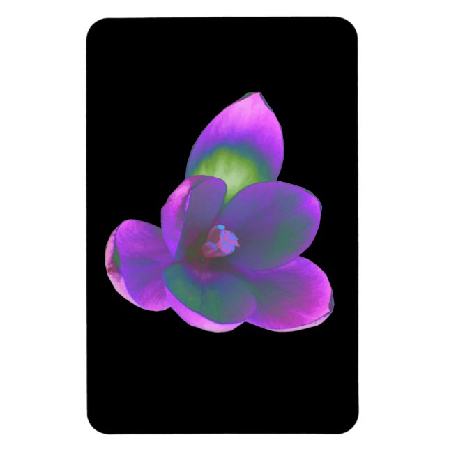 Mystic Beauty Crocus Flower Premium Magnet (Vertikal)