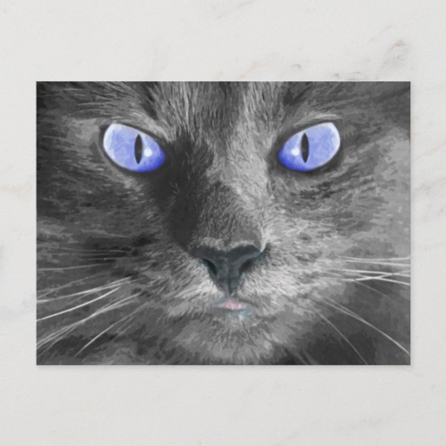 Mystic Cat Postcard Vykort (Framsida)