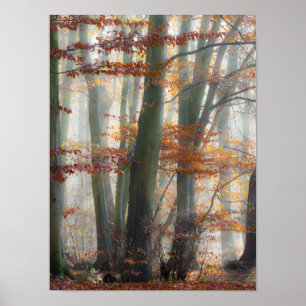 Mystic Foggy Forest på hösten Poster