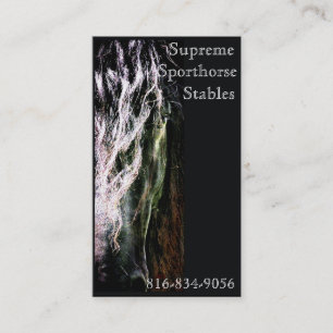 Mystic Friesian Visitkort