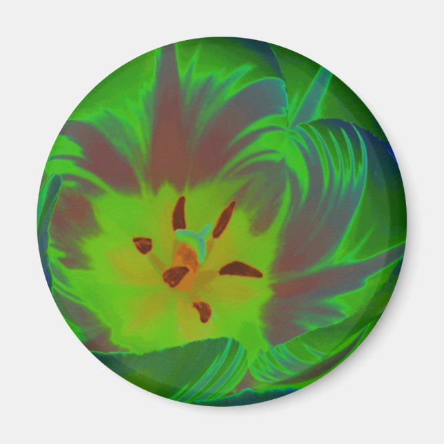Mystic Grönt Tulip Magnet (Framsidan)