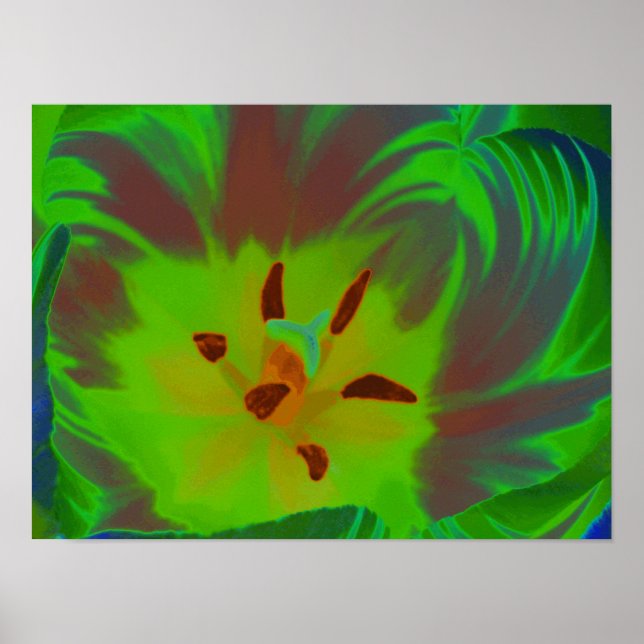 Mystic Grönt Tulip Poster (Framsidan)