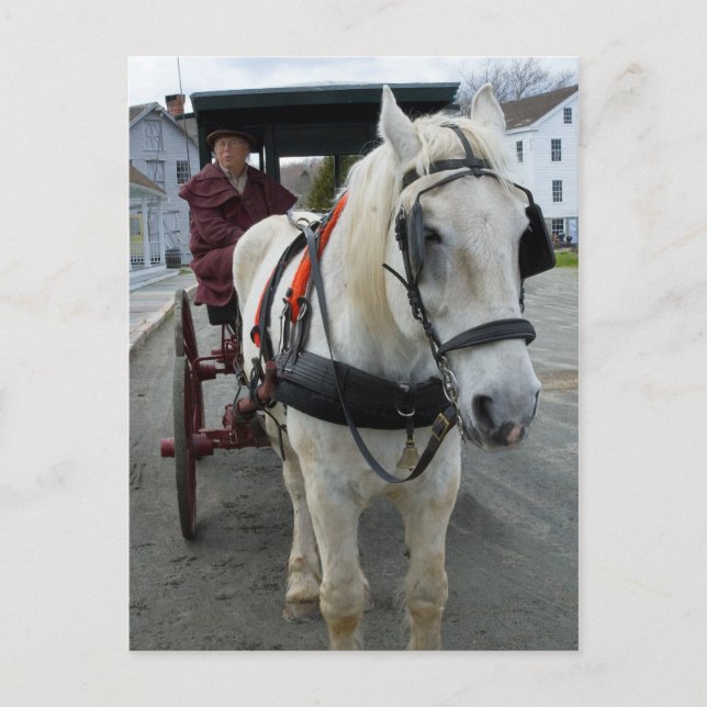 Mystic Horse Postcards Vykort (Framsida)