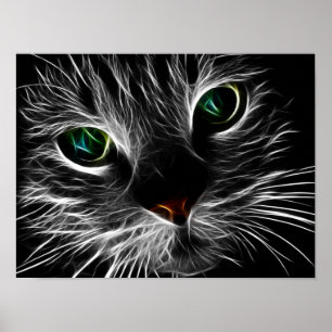 Mystic katt poster