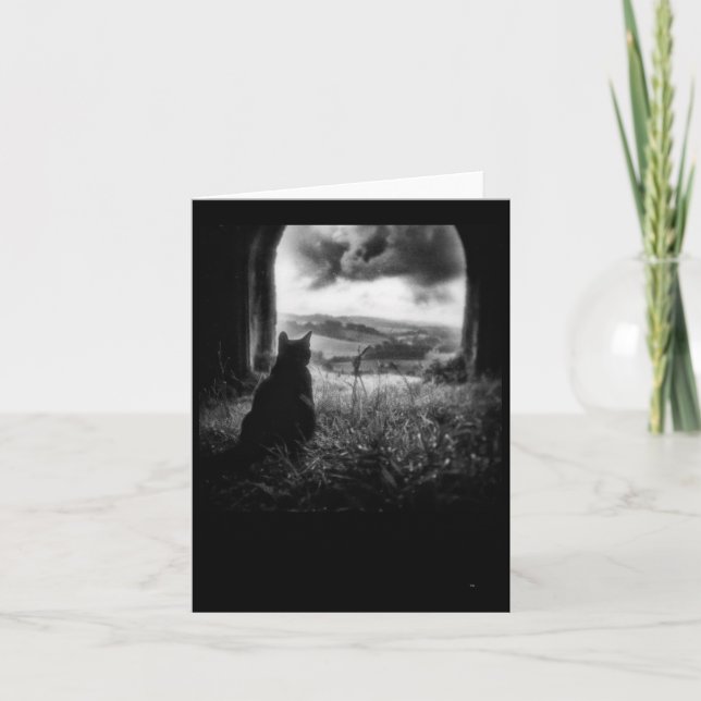 Mystic Meow-dekal  Kort (Framsida)