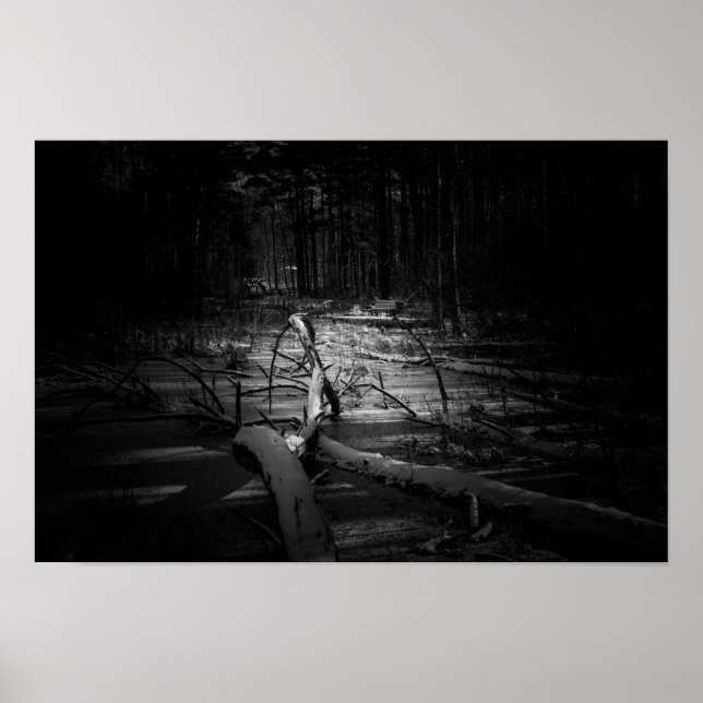 Mystic Night Forest – Moody Nature Landscape Poster (Framsidan)