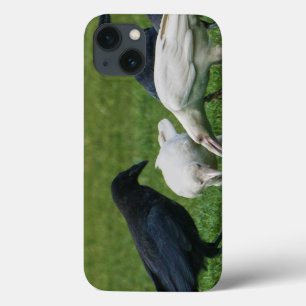 Mystic Ravens White Spirit Raven Corvid-älskare Fo