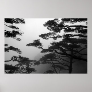 Mystic Träd - Skriv ut Poster