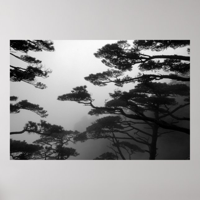 Mystic Träd - Skriv ut Poster (Framsidan)