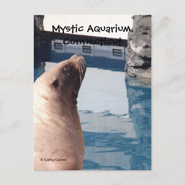 Mystic vykort (Framsida)