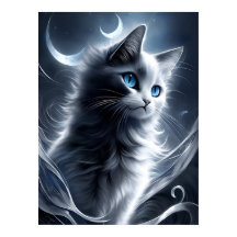 Mystical Black and White Kitten | Cute Cat
