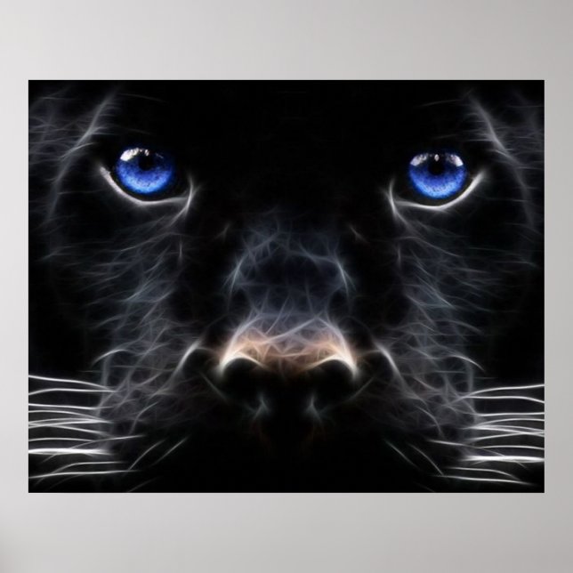 Mystical Blue Eyed Cat Poster (Framsidan)