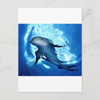 Mystical Dolphin.jpg Vykort