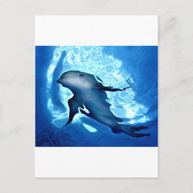 Mystical Dolphin.jpg Vykort (Framsida)