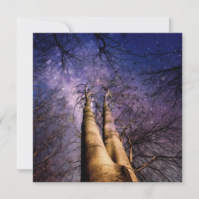 Mystical Forest Kort (Framsida)