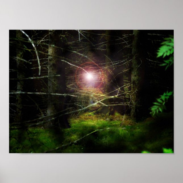 Mystical Forest Poster (Framsidan)