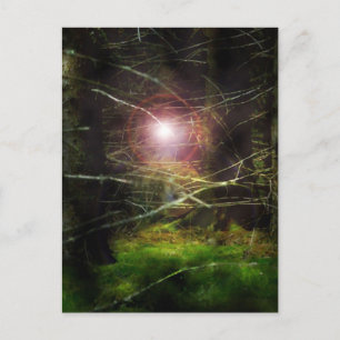 Mystical Forest Vykort