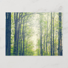 Mystical Forest Vykort