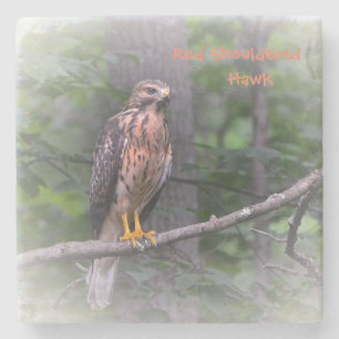Mystical Hawk Stenunderlägg
