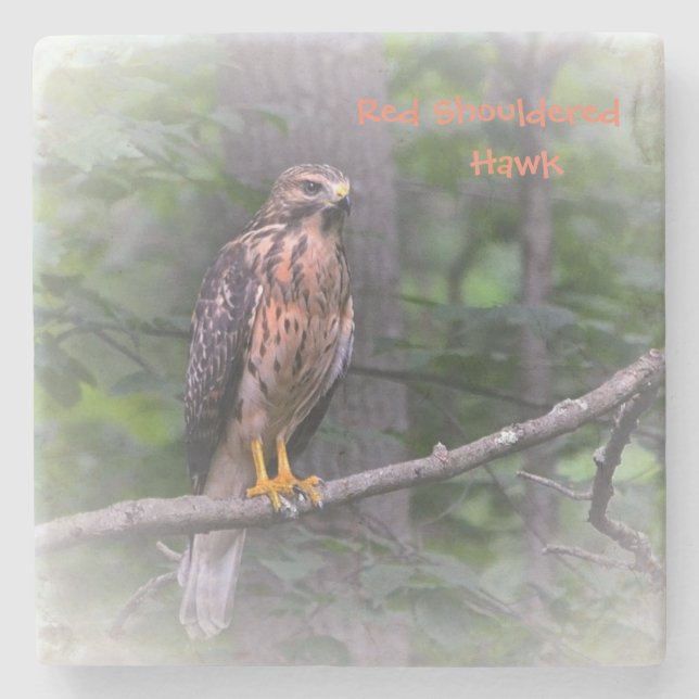 Mystical Hawk Stenunderlägg (Framsidan)