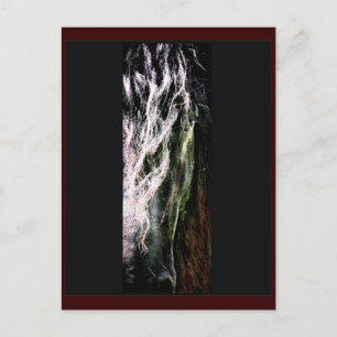 Mystical Horse Postcard Vykort