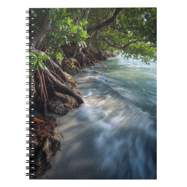 Mystical Mangrove Shoreline Ocean Scene Anteckningsbok (Framsidan)