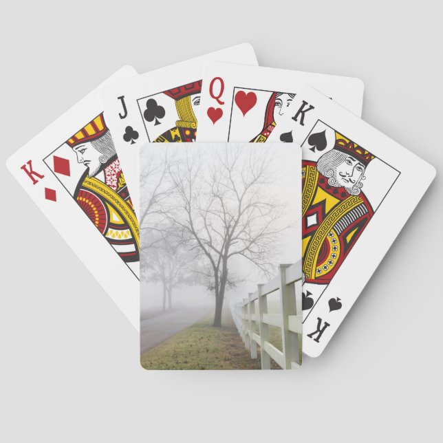 Mystical Misty Morgon Casinokort (Baksidan)