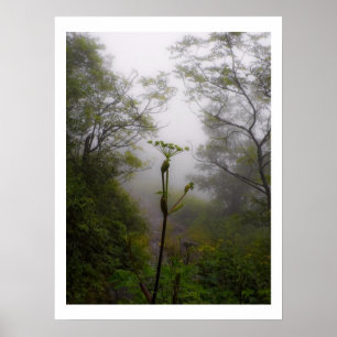 Mystical Morgon på Appalachian Trail Poster