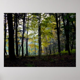 Mystical Skogen vid Quechee Gorge Poster