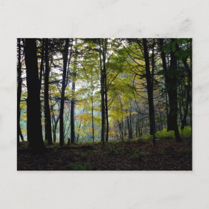 Mystical Skogen vid Quechee Gorge Vykort