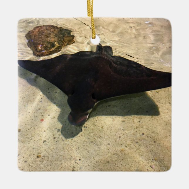 Mystical Stingray Julgransprydnad Keramik (Framsida)