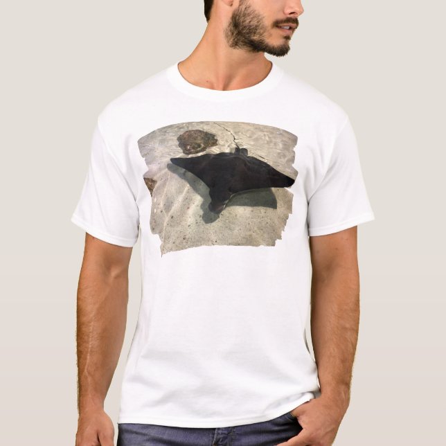 Mystical Stingray T Shirt (Framsida)