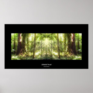 Mystical Sunlight through Forest Photo Art Poster