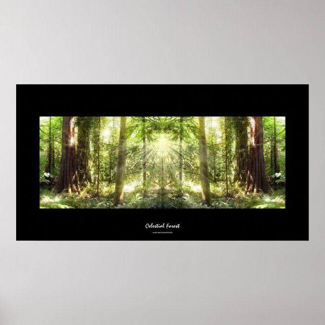 Mystical Sunlight through Forest Photo Art Poster (Framsidan)