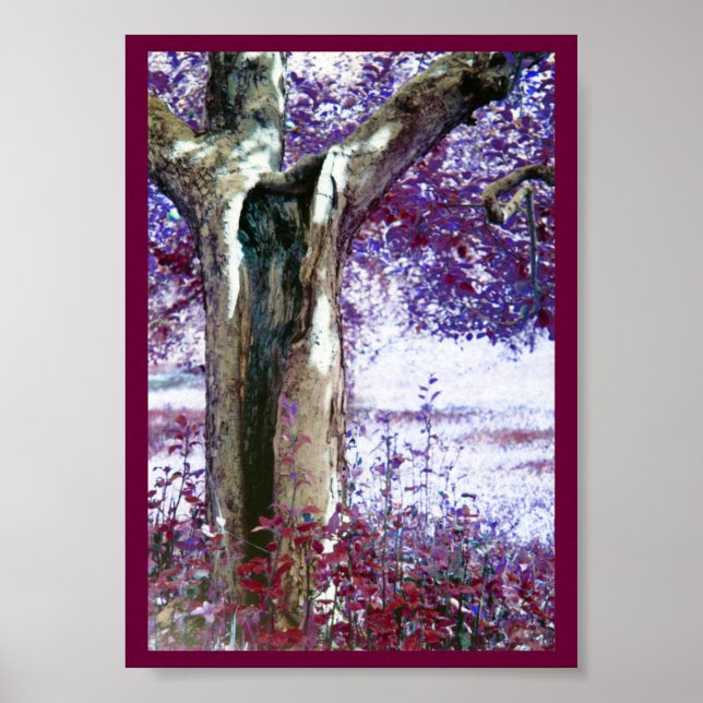 Mystical Träd Poster (Framsidan)