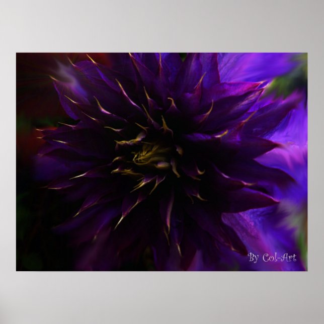 Mystify Poster 16 x 12 tum (Framsidan)