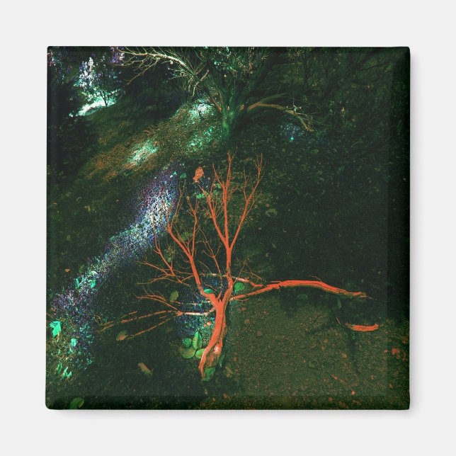 Mystikskog.. Magnet (Framsidan)