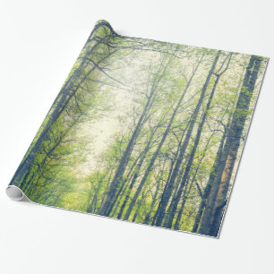 Mystikskog Presentpapper