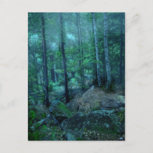 Mystikskog Vykort