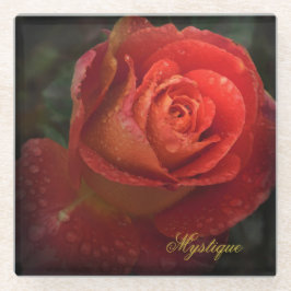 Mystique Dark Botanical Red Orange Rose Coaster