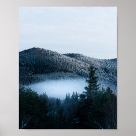Mystisk dimma fångad i vintergranskog poster