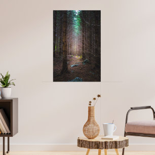 Mystisk granskog poster