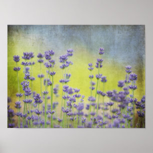 Mystisk lavendel poster