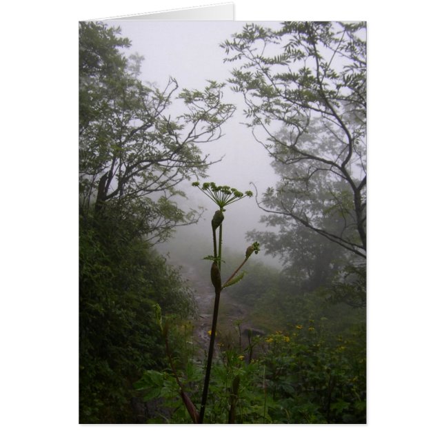 Mystisk morgon hälsningskort (Framsidan)