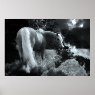 mystisk natthäst poster