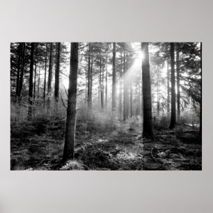 mystisk skog poster