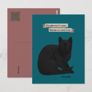 Mystisk svart kattcitat Teal Rosa Vykort