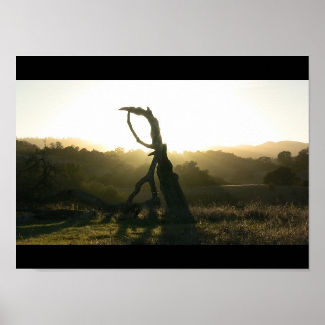 Mystisk uppspelning - Poster (Framsidan)