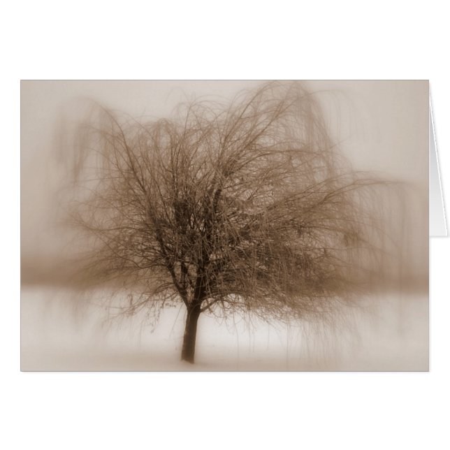 Mystiska drömmar hälsningskort (Framsidan Horizontal)