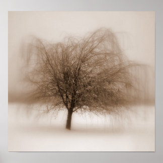 Mystiska drömmar poster